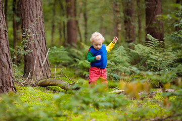 Wall Mural - Kids hiking in autumn park