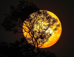 Wall Mural - A tree silhouetted against a large, bright moon. AI.