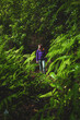 © Michael - Female tourist wearing a hard shell rain jacket looks into the forest as she walks through ferns in a wet rainforest. Poco dos Pulgas waterfalls, Madeira, Portugal, Europe.