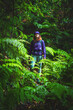 © Michael - Female tourist wearing a hard shell rain jacket looks into the forest as she walks through ferns in a wet rainforest. Poco dos Pulgas waterfalls, Madeira, Portugal, Europe.