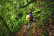 © Michael - Female tourist wearing a rain jacket and carrying a raincoat backpack walks along a forest trail covered with fallen leaves. Poco dos Pulgas waterfalls, Madeira, Portugal, Europe.