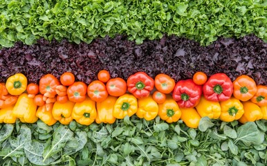 Fresh vegetables are arranged neatly in a vertical garden bursting with color.