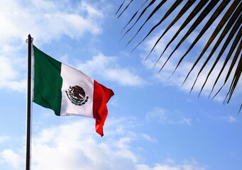 The Mexican flag flies up a flagpole on a beautiful summer day with a background of blue sky with white clouds, and palm leaves in foreground.