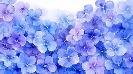 Wall Mural - This watercolor illustration depicts spring flowers, forget-me-not flowers on a white background.