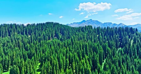 Wall Mural - Aerial shot of mountains and forests beautiful natural scenery in Xinjiang, China