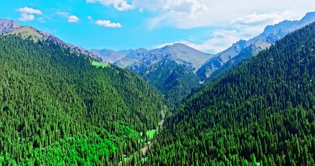 Wall Mural - Aerial shot of mountains and forests beautiful natural scenery in Xinjiang, China