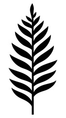 Poster - PNG Fern logo icon plant black leaf.