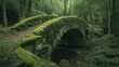 © ABX - Forgotten stone bridge covered in moss in old woods