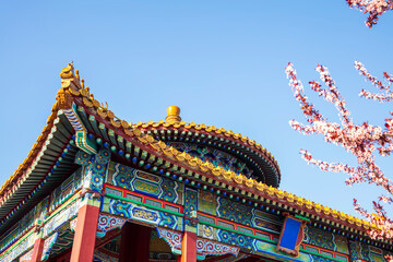 Ancient Chinese buildings in spring，jiangnan pavilions