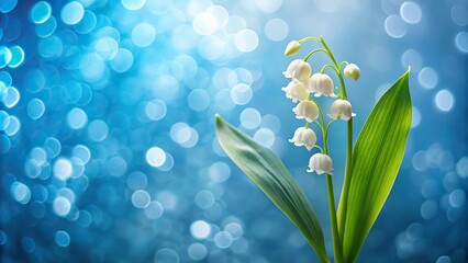 minimalist lily of the valley flower on blue background with bokeh