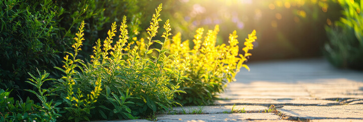 Wall Mural - yellow and green foliage with sunlight shining on it, generative ai
