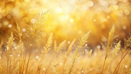 Sticker - Dry grass and soft golden bokeh background