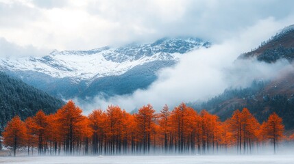 Poster - A mountain range covered in snow