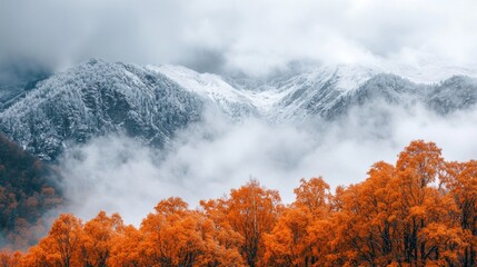 Poster - The mountains are covered in snow and the trees are orange