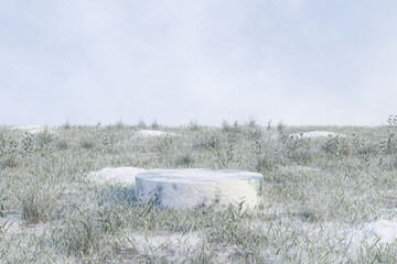 Wall Mural - abstact 3d render winter scene and natural background, snow stone podium on the snow ground and gras