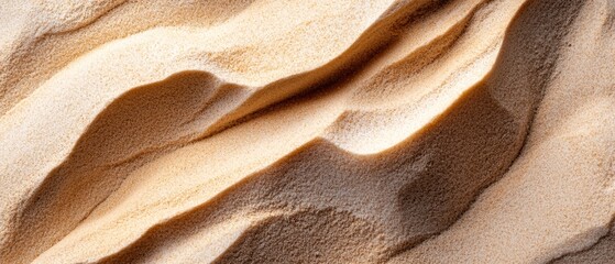 Wall Mural -  A tight shot of a sand dune top from a bird's eye perspective