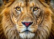 © Four888 - Captivating Macro Photography of a Majestic Lion's Face with Intricate Fur Details and Striking Eyes