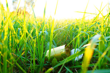 Tin can in grass. Discarded Steel Tin can. Throwing garbage in nature, pollution. Waste sorting for Recycling. Throwing trash on lawn. Thrown out metal Tin can food trash. World ecology problem.