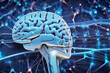 © Grau Photographers - A detailed visualization of the human brain connected to neurons and neural pathways in a vibrant setting