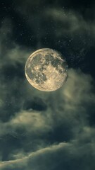 Wall Mural - full moon in a cloudy night sky