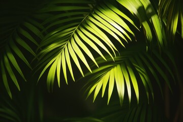 Poster - Palm leaves creating a multi-layered visual impact