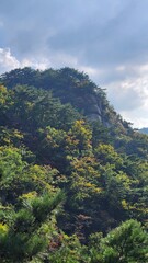 the top of Bukhansan Mountain in Korea in sunny weather in autumn. hiking in korea. mountains Korea Seoul. Maple leaves