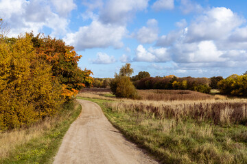 beautiful autumn landscape with yellow leaves of trees and blue sky on a sunny day