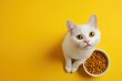 © Алена Ваторина - White kitten standing next to a bowl of dry cat food on a yellow background
