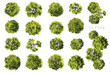 © Wattanapong - Vertor set of green tree,plants top view for landscape plan,schematic layout,eco environment concept design,watercolor greenery illustration