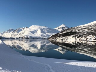 Kaldfjord