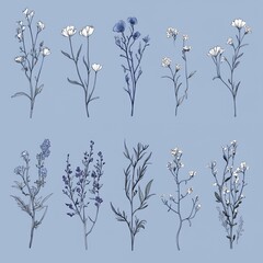 Poster - A collection of hand-drawn floral illustrations in shades of blue and white.