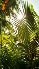 Poster - Sunlit palm leaves with natural sunlight filtering through, serene tropical atmosphere. Exotic nature and relaxation concept