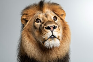 Poster - Minimalist lion portrait, focusing on the animalâ€™s face with clean lines and a neutral background, capturing its majestic presence