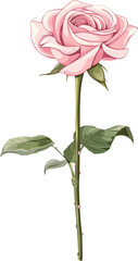 Wall Mural - Single pink rose