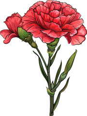 Wall Mural - Red carnation blooms