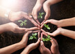 © FotoPush/peopleimages.com - Hands, plant and soil with nature, growth and hope for sustainability and future support. People, environment and leaf for collaboration, accountability and development or green energy with startup