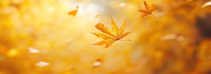 Poster - A serene scene of falling autumn leaves against a warm golden background.