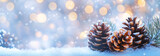 Fototapeta Zachód słońca - Background with pine cones and snow, Christmas lights in the background, pastel blue banner