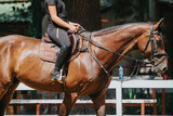 Close-up of a female equestrian riding a horse in an outdoor paddock on a sunny day. Showcasing equestrian skills and horsemanship.