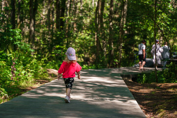 A cute Caucasian child toddler walks along a wooden path on the Curonian Spit in Kaliningrad. An active family vacation.