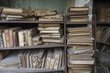 © Caseyjadew - Dusty books on shelves in an abandoned library, symbolizing neglect and time's passage