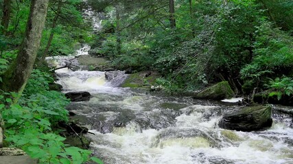 Wall Mural - cascade of waterfalls in scenic ricketts glen state park, pennsylvania .