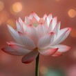 © Tuong - Buddha Birthday Lotus: Peach Bokeh Flower with Copy Space for Vesak Celebration