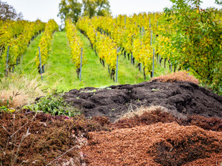 Weintrester neben einem Weinberg