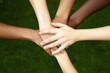 © Mselected - Diverse hands united in collaboration on green grass during a sunny day