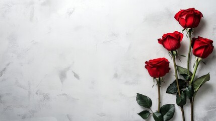 red rose flowers on white background. Top view