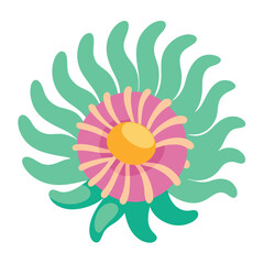 Sea anemone vector illustration isolated on a white background