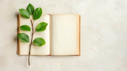 Wall Mural - A blank white book cover rests on a clean background, showcasing the simplicity of branding mockups.