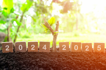 Wall Mural - Changing year 2024 to 2025 in wooden blocks with growing plant at sunrise. Welcome new year 2025 and goodbye 2024 concept.