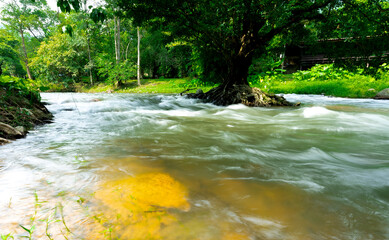 Shade of tree and motion blur. The turbulent flow of water canal during the flood season in the countryside of Thailand.